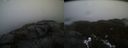 ./images/calvert/buxton2/20211112/buxton220211112_163502M.jpg