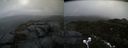 ./images/calvert/buxton2/20211113/buxton220211113_092002M.jpg