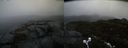 ./images/calvert/buxton2/20211113/buxton220211113_152503M.jpg