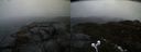 ./images/calvert/buxton2/20211113/buxton220211113_155503M.jpg