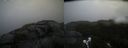 ./images/calvert/buxton2/20211114/buxton220211114_100003M.jpg