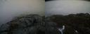 ./images/calvert/buxton2/20211114/buxton220211114_111503M.jpg