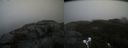 ./images/calvert/buxton2/20211114/buxton220211114_131003M.jpg