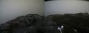 ./images/calvert/buxton2/20211114/buxton220211114_132503M.jpg