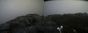 ./images/calvert/buxton2/20211114/buxton220211114_134003M.jpg