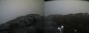./images/calvert/buxton2/20211114/buxton220211114_152503M.jpg