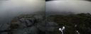 ./images/calvert/buxton2/20211121/buxton220211121_132503M.jpg