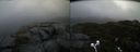 ./images/calvert/buxton2/20211121/buxton220211121_140003M.jpg