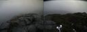 ./images/calvert/buxton2/20211121/buxton220211121_144002M.jpg