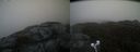 ./images/calvert/buxton2/20211122/buxton220211122_160503M.jpg