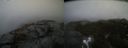 ./images/calvert/buxton2/20220203/buxton220220203_114002M.jpg