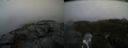 ./images/calvert/buxton2/20220203/buxton220220203_115002M.jpg