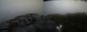 ./images/calvert/buxton2/20220203/buxton220220203_140502M.jpg