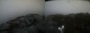 ./images/calvert/buxton2/20220203/buxton220220203_142502M.jpg
