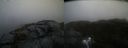 ./images/calvert/buxton2/20220203/buxton220220203_162502M.jpg