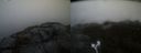 ./images/calvert/buxton2/20220203/buxton220220203_163502M.jpg