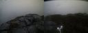./images/calvert/buxton2/20220203/buxton220220203_165002M.jpg