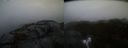 ./images/calvert/buxton2/20220203/buxton220220203_170502M.jpg