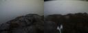 ./images/calvert/buxton2/20220203/buxton220220203_171502M.jpg