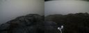 ./images/calvert/buxton2/20220204/buxton220220204_085003M.jpg