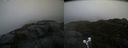 ./images/calvert/buxton2/20220204/buxton220220204_094502M.jpg
