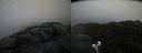./images/calvert/buxton2/20220204/buxton220220204_103502M.jpg