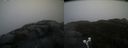 ./images/calvert/buxton2/20220204/buxton220220204_110503M.jpg