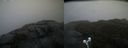 ./images/calvert/buxton2/20220204/buxton220220204_113503M.jpg