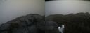 ./images/calvert/buxton2/20220204/buxton220220204_140503M.jpg