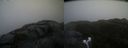 ./images/calvert/buxton2/20220204/buxton220220204_151502M.jpg