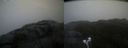 ./images/calvert/buxton2/20220204/buxton220220204_163503M.jpg