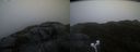 ./images/calvert/buxton2/20220207/buxton220220207_082002M.jpg