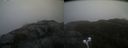 ./images/calvert/buxton2/20220207/buxton220220207_105502M.jpg