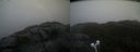 ./images/calvert/buxton2/20220207/buxton220220207_114003M.jpg