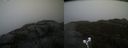 ./images/calvert/buxton2/20220209/buxton220220209_140003M.jpg