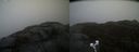 ./images/calvert/buxton2/20220209/buxton220220209_151502M.jpg