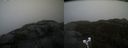 ./images/calvert/buxton2/20220209/buxton220220209_153502M.jpg