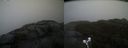 ./images/calvert/buxton2/20220209/buxton220220209_154502M.jpg