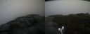 ./images/calvert/buxton2/20220209/buxton220220209_160003M.jpg