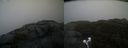 ./images/calvert/buxton2/20220209/buxton220220209_163503M.jpg