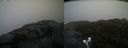 ./images/calvert/buxton2/20220209/buxton220220209_164003M.jpg