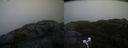 ./images/calvert/buxton2/20220209/buxton220220209_164503M.jpg