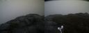 ./images/calvert/buxton2/20220209/buxton220220209_171503M.jpg