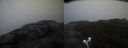 ./images/calvert/buxton2/20220209/buxton220220209_172002M.jpg