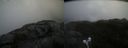 ./images/calvert/buxton2/20220217/buxton220220217_125002M.jpg