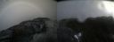 ./images/calvert/buxton2/20220217/buxton220220217_134503M.jpg