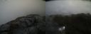 ./images/calvert/buxton2/20220217/buxton220220217_141503M.jpg