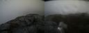 ./images/calvert/buxton2/20220217/buxton220220217_160003M.jpg
