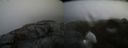 ./images/calvert/buxton2/20220217/buxton220220217_160503M.jpg