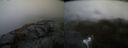 ./images/calvert/buxton2/20220217/buxton220220217_171002M.jpg